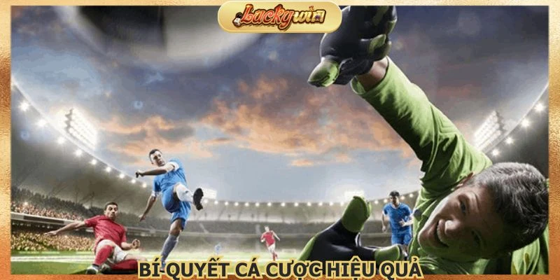 Kèo Châu Á: Phân Tích Kèo Cược Chấp Bóng Đá 4 Áp dụng mẹo cược hữu ích được chia sẻ từ cao thủ